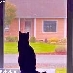 Ewell Barton Profile Picture