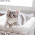 Darryl Hoeger Profile Picture